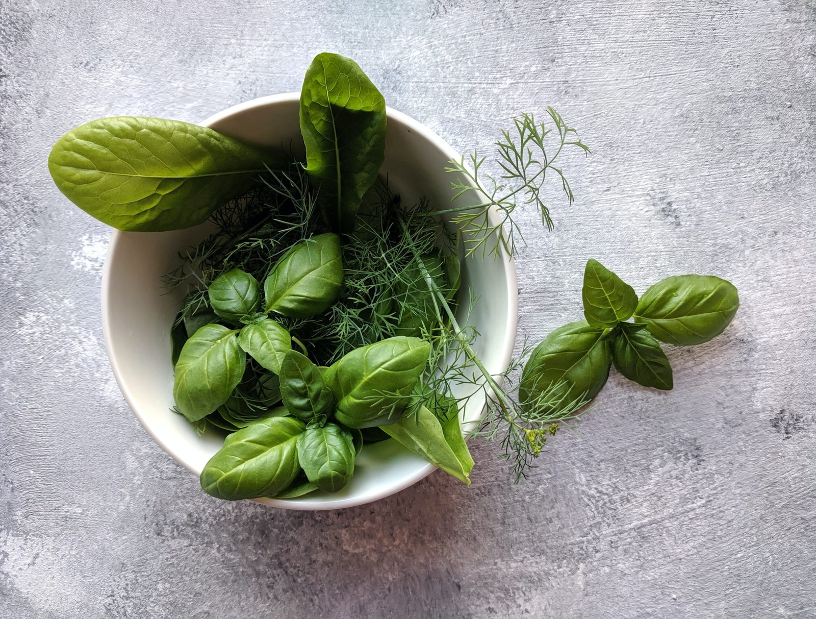 How to grow your own herbs indoors: year-round greenery at your fingertips