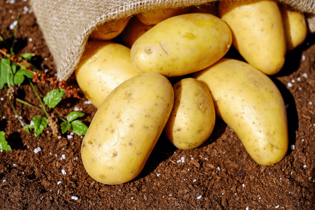 potatoes, the top 10 best vegetables to grow in the UK