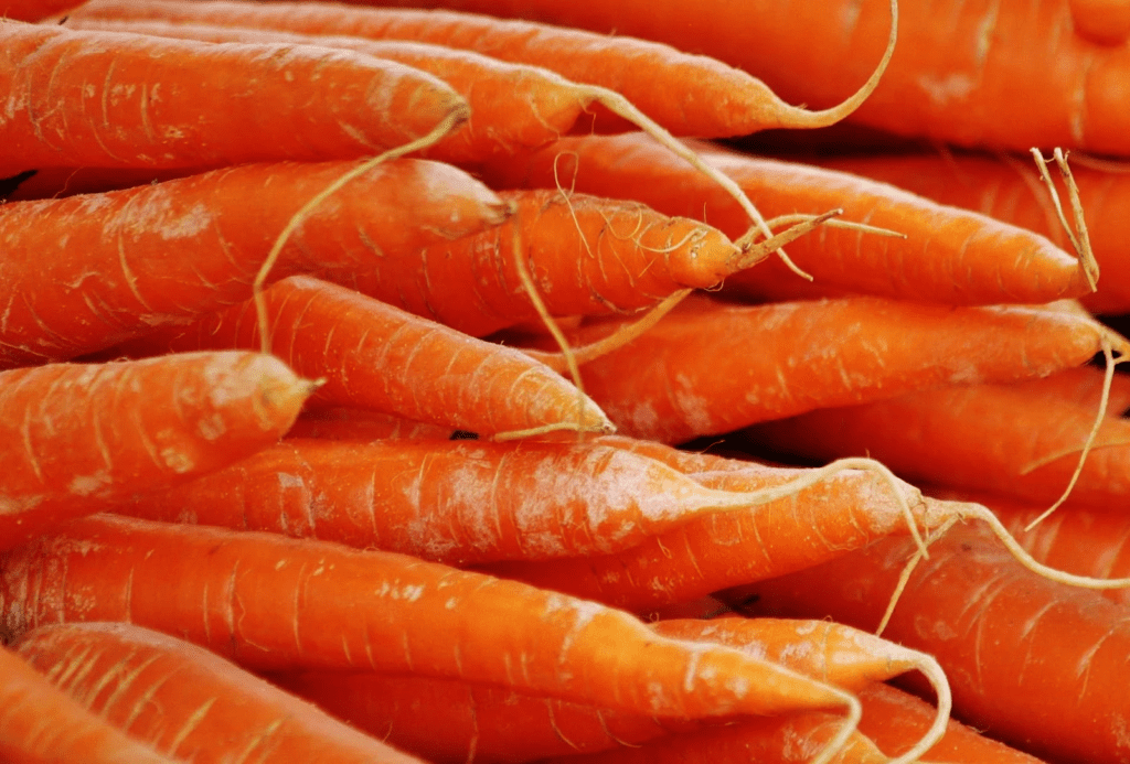 carrots, the top 10 best vegetables to grow in the UK