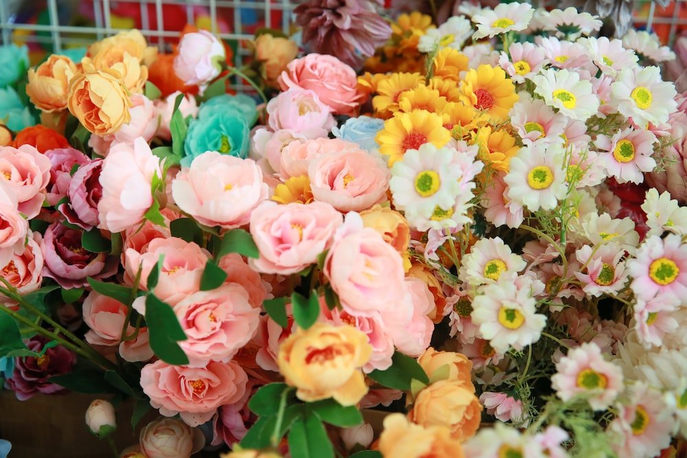 10 beautiful flowering houseplants to help brighten your home