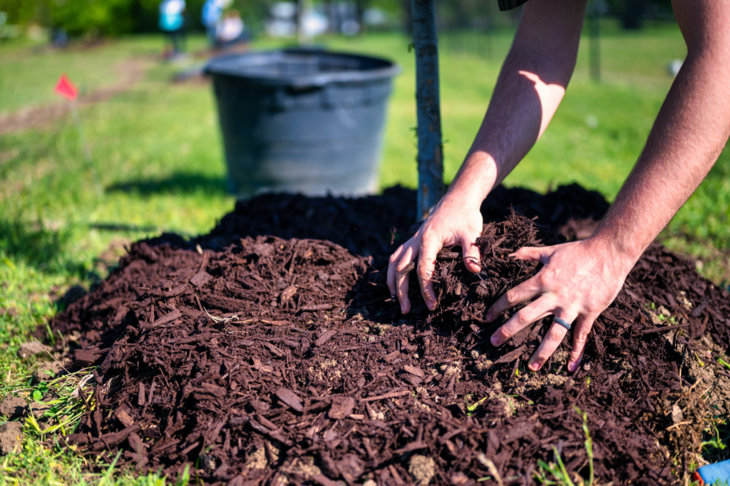 plant mulch, 10 Tips to Keep Your Garden Thriving in the Chilly Season