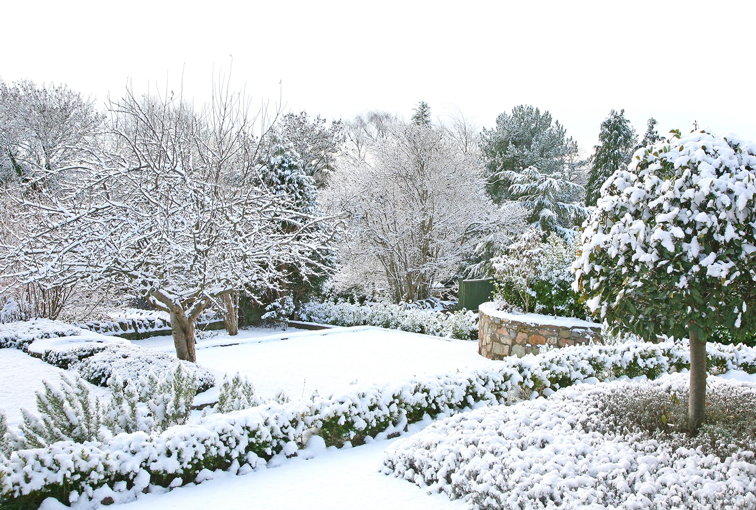 10 Tips to Keep Your Garden Thriving in the Chilly Season